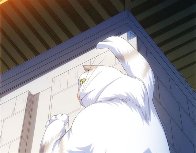 氪金玩家韩漫全集-第139话 招财猫！无删减无遮挡章节图片 