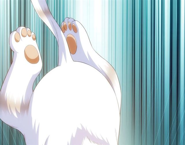 氪金玩家韩漫全集-第139话 招财猫！无删减无遮挡章节图片 