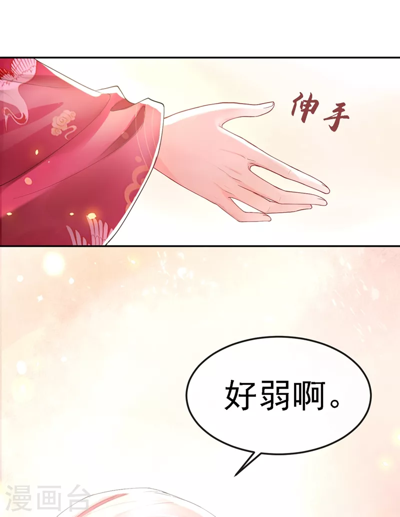 快穿系统：反派大佬不好惹韩漫全集-第1话 如此蠢顿，干脆杀了吧！无删减无遮挡章节图片 