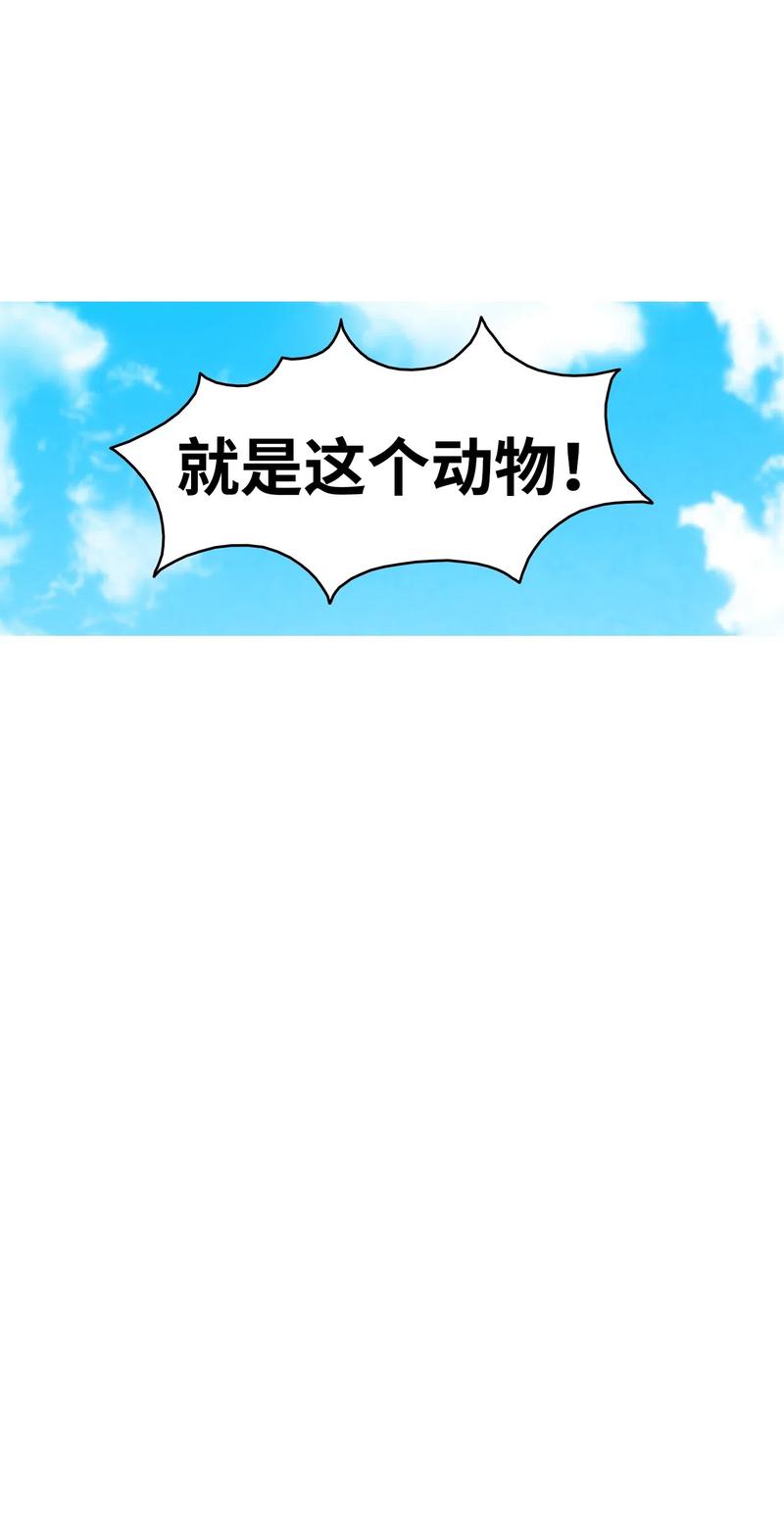 骷髅奶爸韩漫全集-34 就是这个动物无删减无遮挡章节图片 