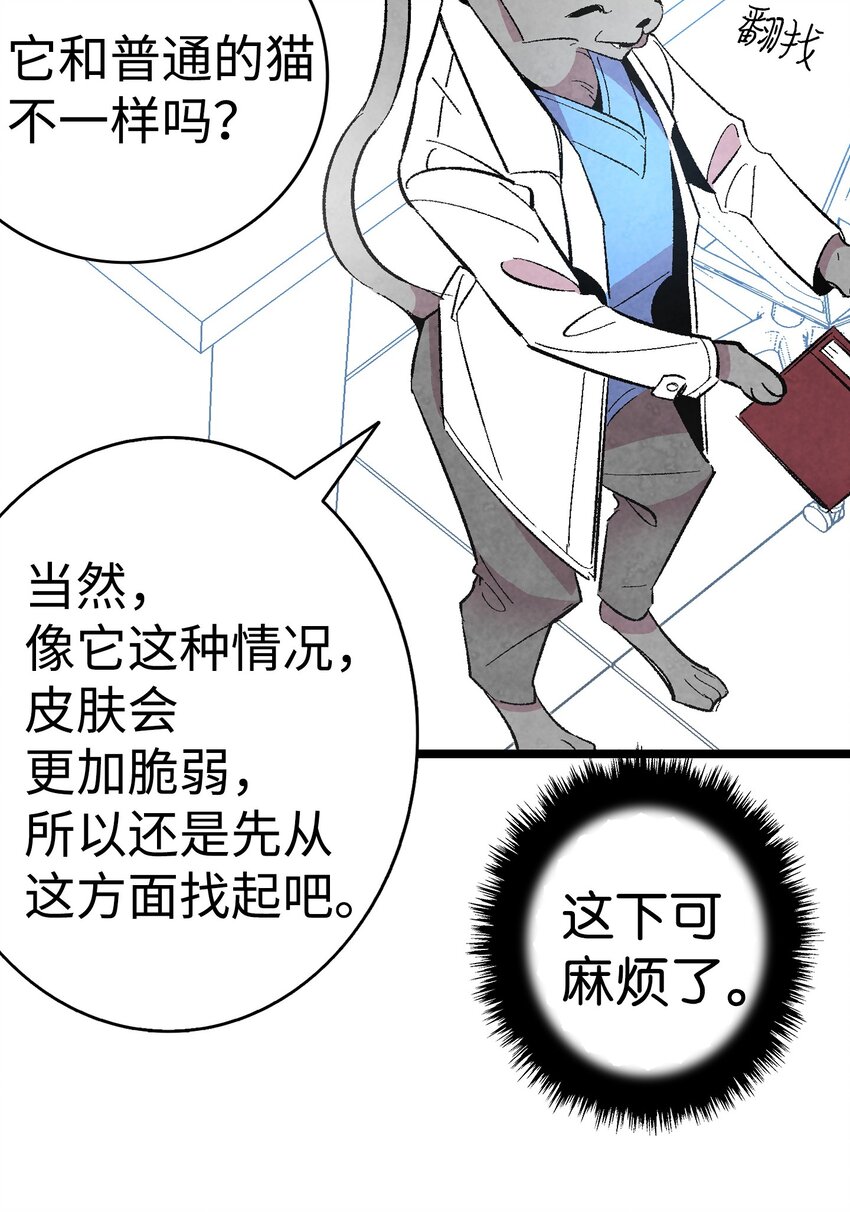 骷髅奶爸韩漫全集-06 蝴蝶3无删减无遮挡章节图片 
