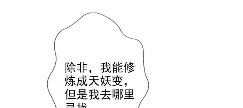 琅寰书院韩漫全集-第七十四话 桃花秘境！无删减无遮挡章节图片 
