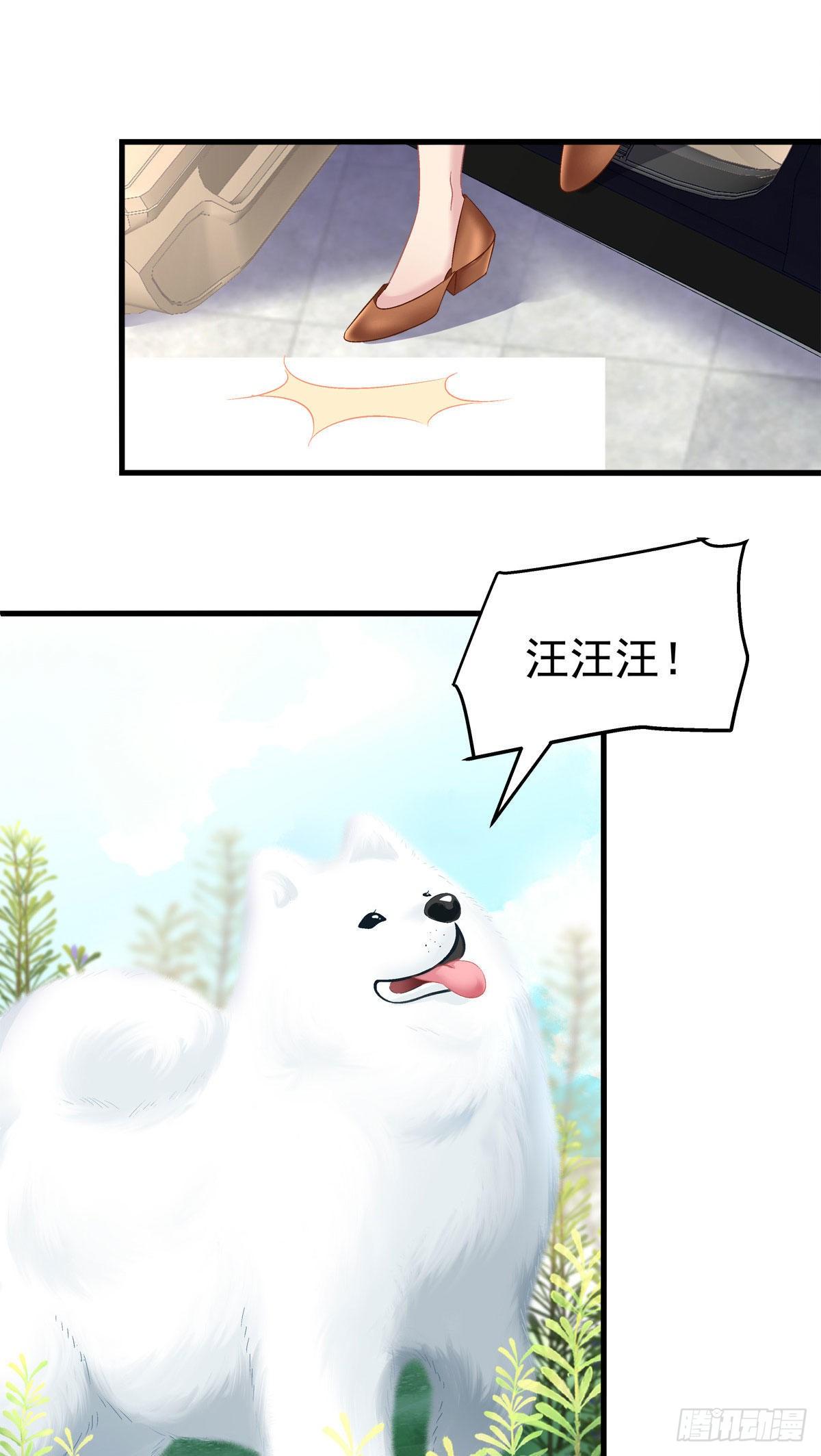 老公每天换人设韩漫全集-11无删减无遮挡章节图片 