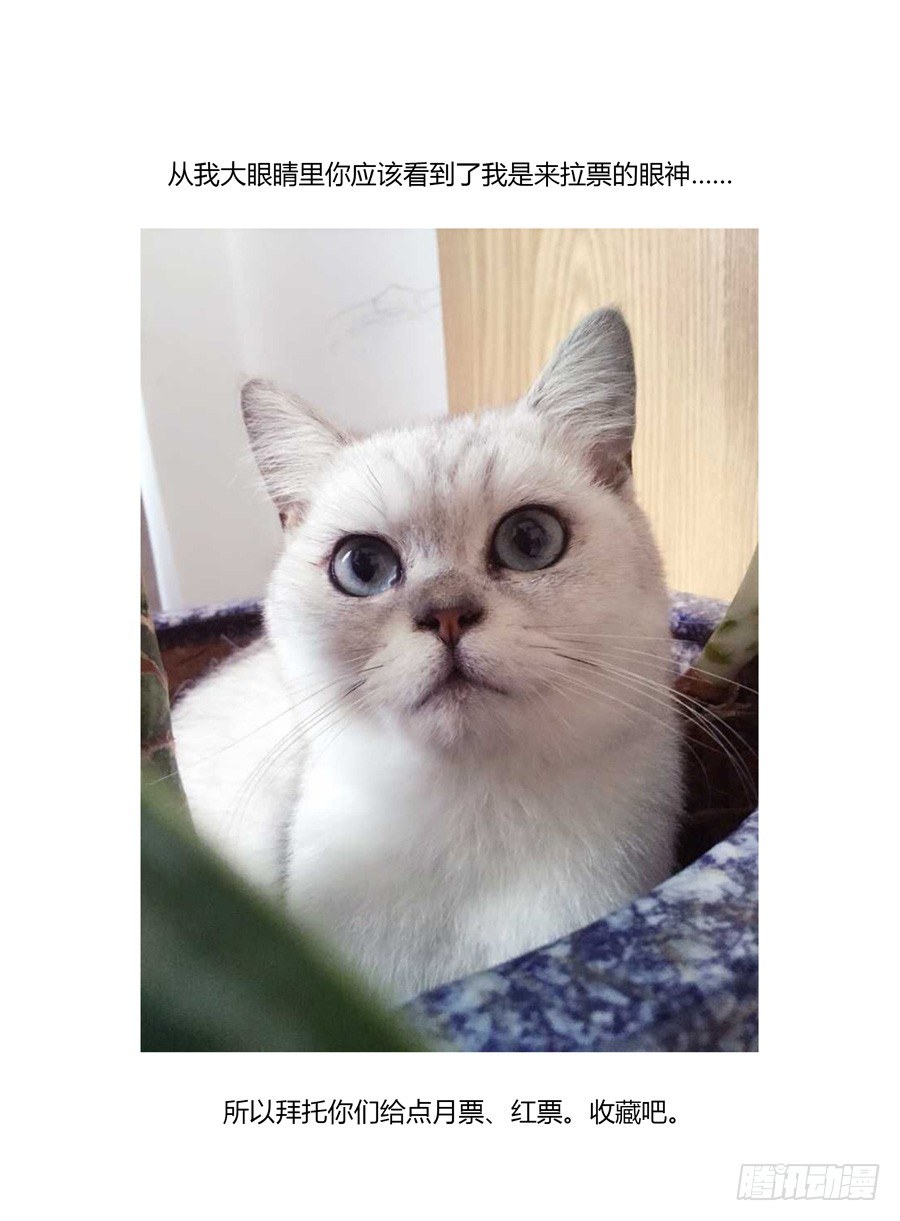 老师是无赖韩漫全集-41.心神二脉无删减无遮挡章节图片 