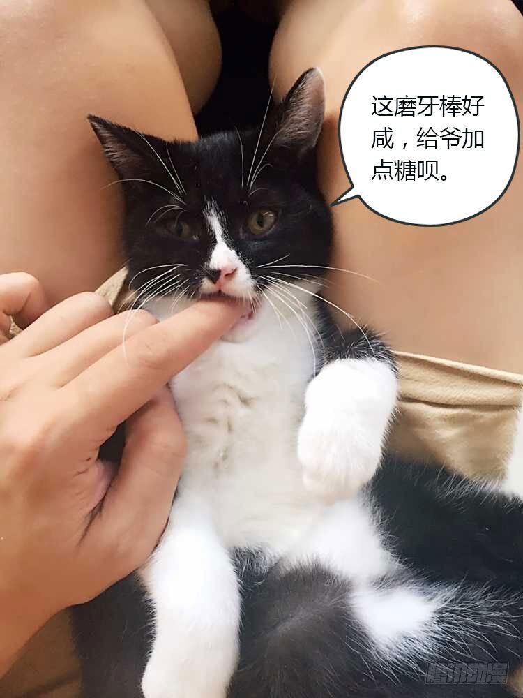 老师是无赖韩漫全集-48.美女老师的秘密授练无删减无遮挡章节图片 