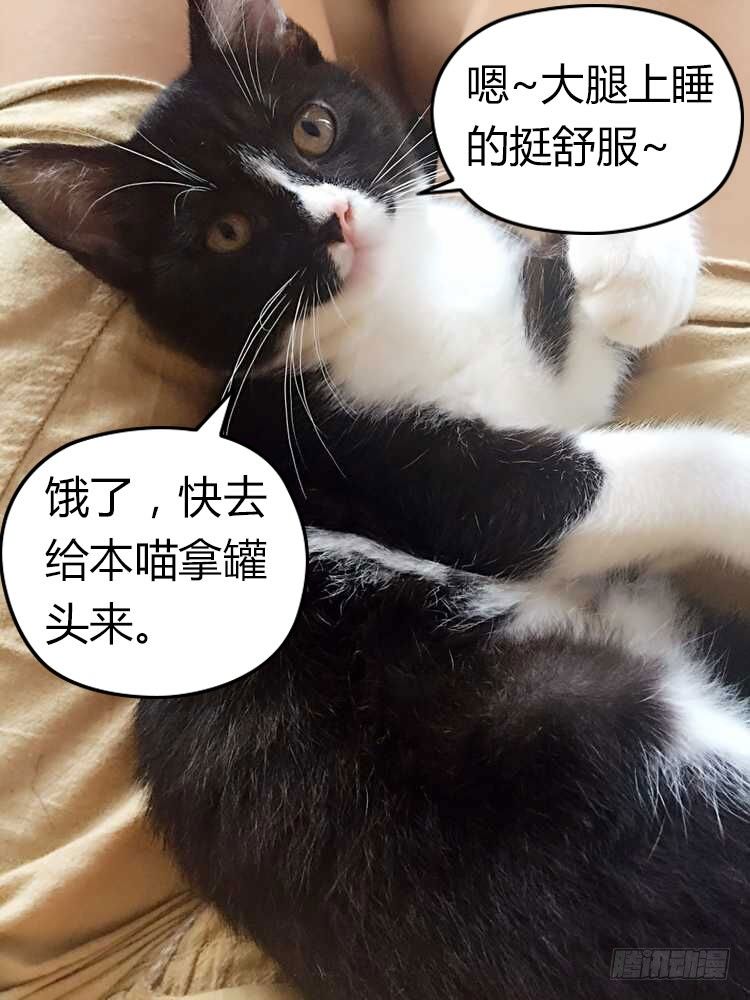 老师是无赖韩漫全集-48.美女老师的秘密授练无删减无遮挡章节图片 
