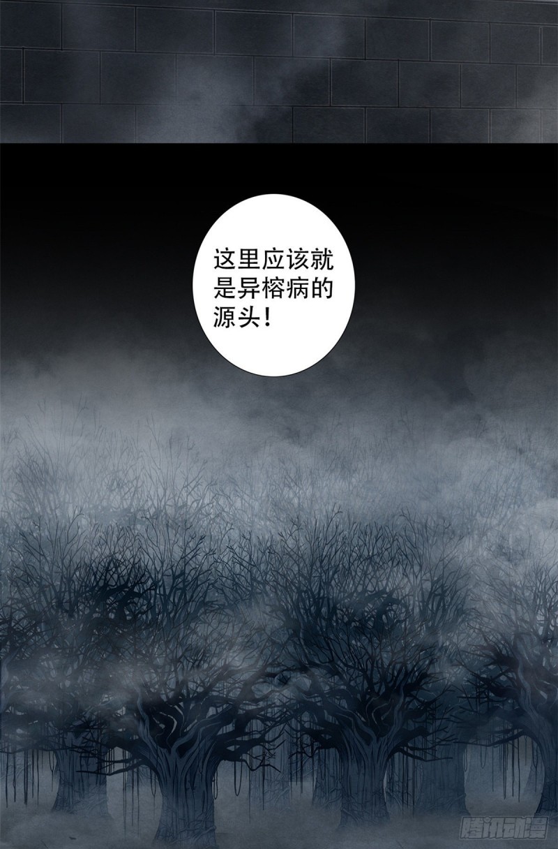 黎明医生韩漫全集-60 起源无删减无遮挡章节图片 