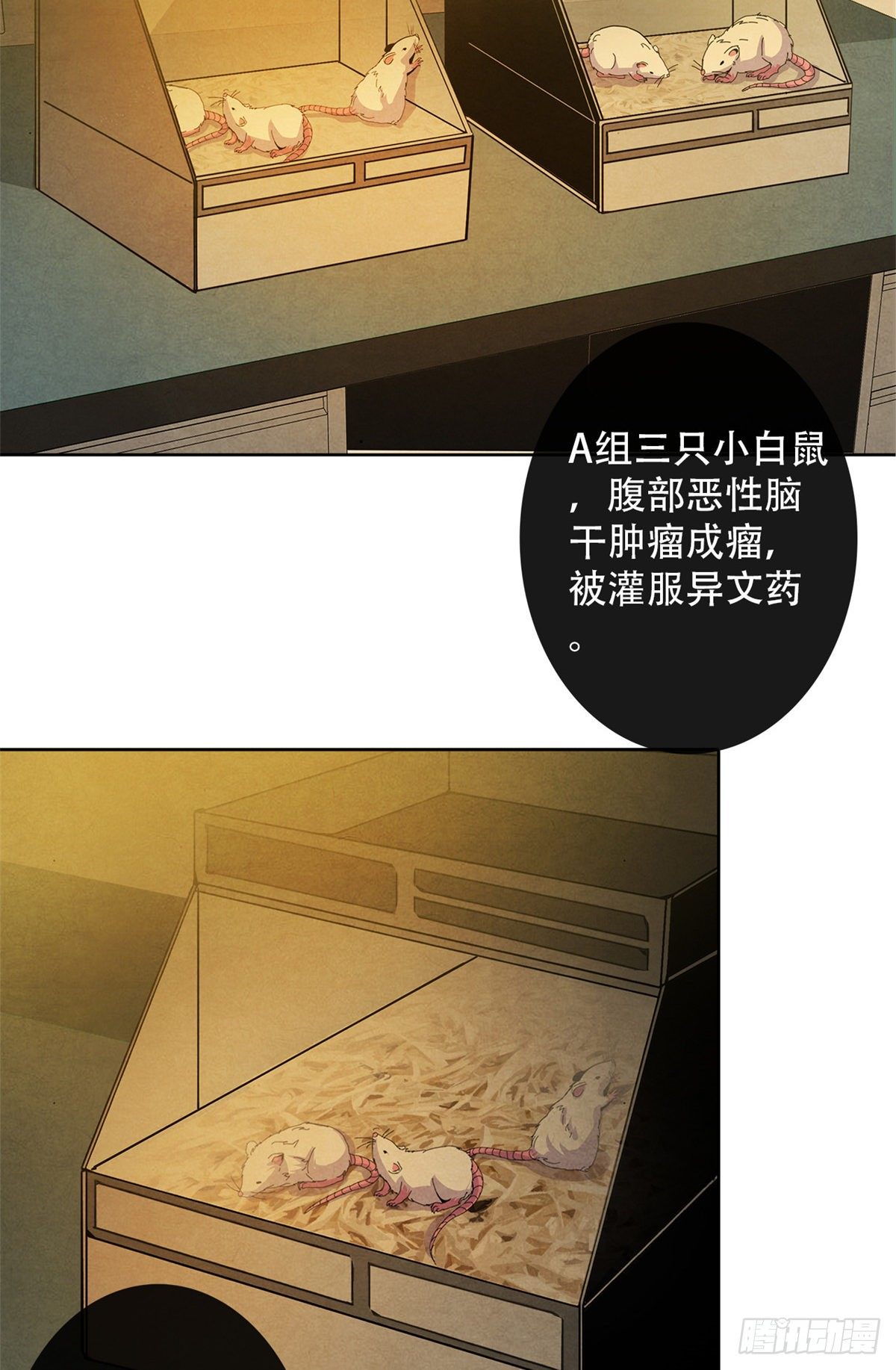 黎明医生韩漫全集-07 实验和遗书无删减无遮挡章节图片 