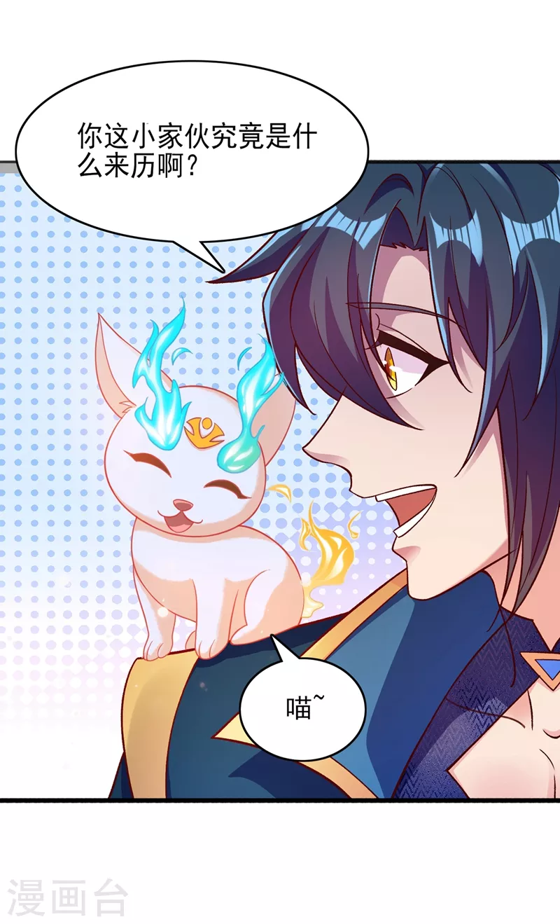 灵剑尊韩漫全集-第422话 灵兽卵里孵出小奶猫无删减无遮挡章节图片 