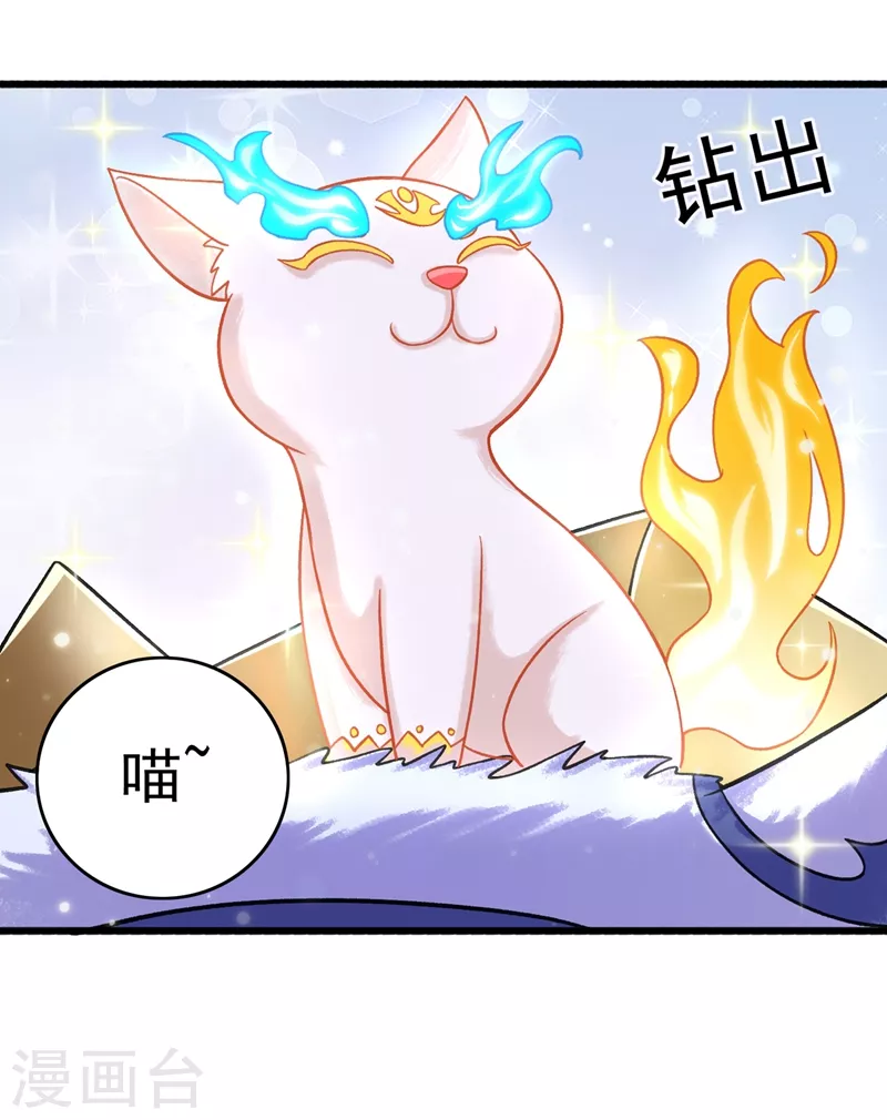 灵剑尊韩漫全集-第422话 灵兽卵里孵出小奶猫无删减无遮挡章节图片 
