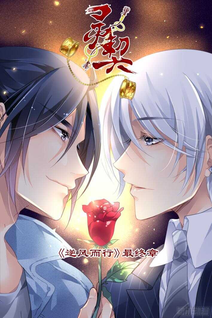 灵契韩漫全集-273：逆风而行（十三）无删减无遮挡章节图片 