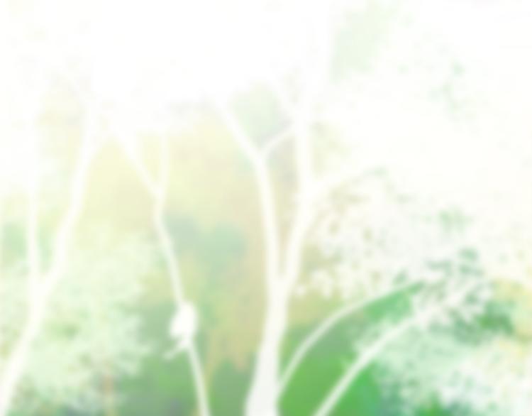 六月的不期而遇-《六月的不可思议系列》韩漫全集-第5话 独一无二的你无删减无遮挡章节图片 