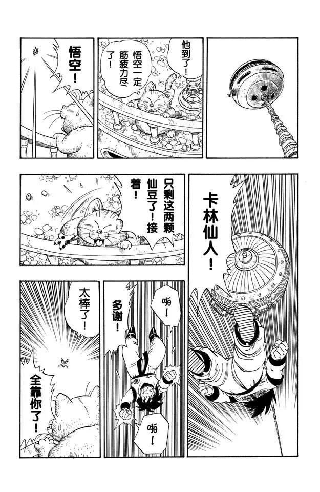 龙珠韩漫全集-第220话 一线希望无删减无遮挡章节图片 