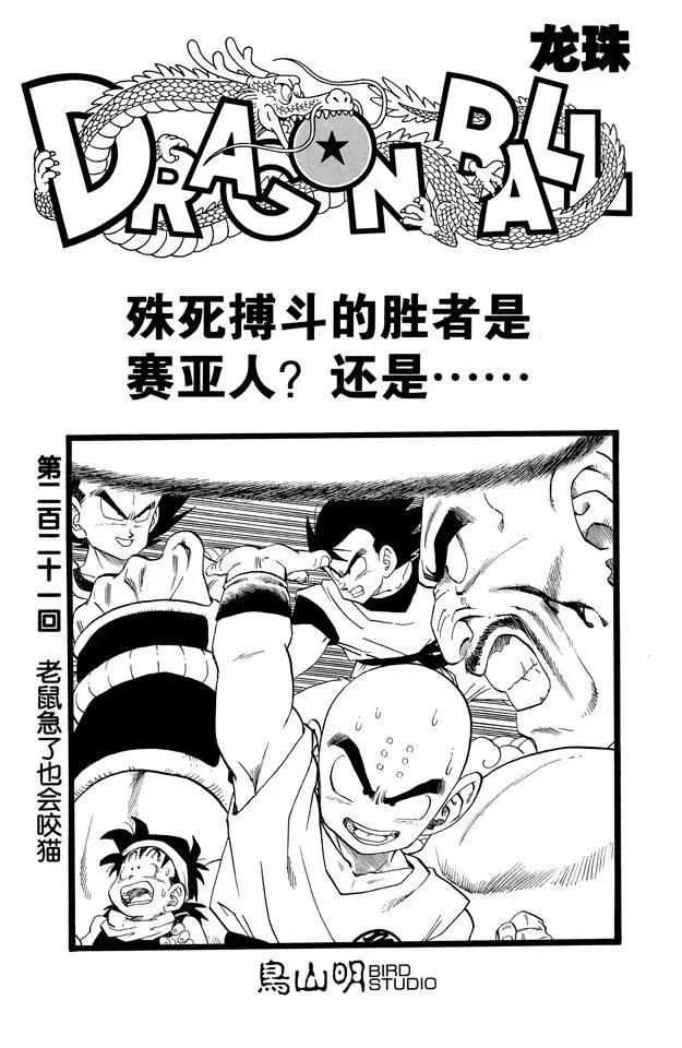 龙珠韩漫全集-第221话 老鼠急了也会咬猫无删减无遮挡章节图片 