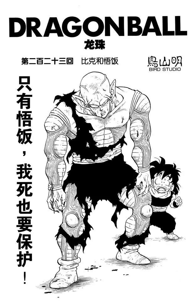 龙珠韩漫全集-第223话 比克和悟饭无删减无遮挡章节图片 
