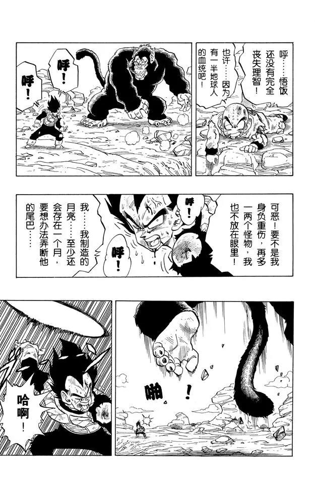 龙珠韩漫全集-第240话 最后的赌注！无删减无遮挡章节图片 