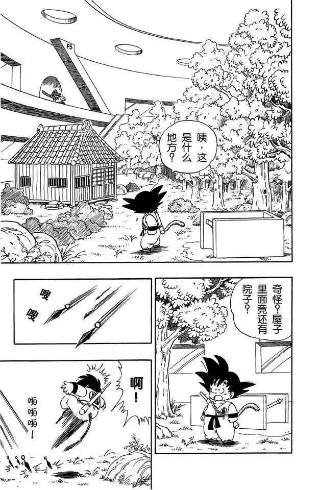龙珠韩漫全集-第60话 忍者姆拉萨奇无删减无遮挡章节图片 