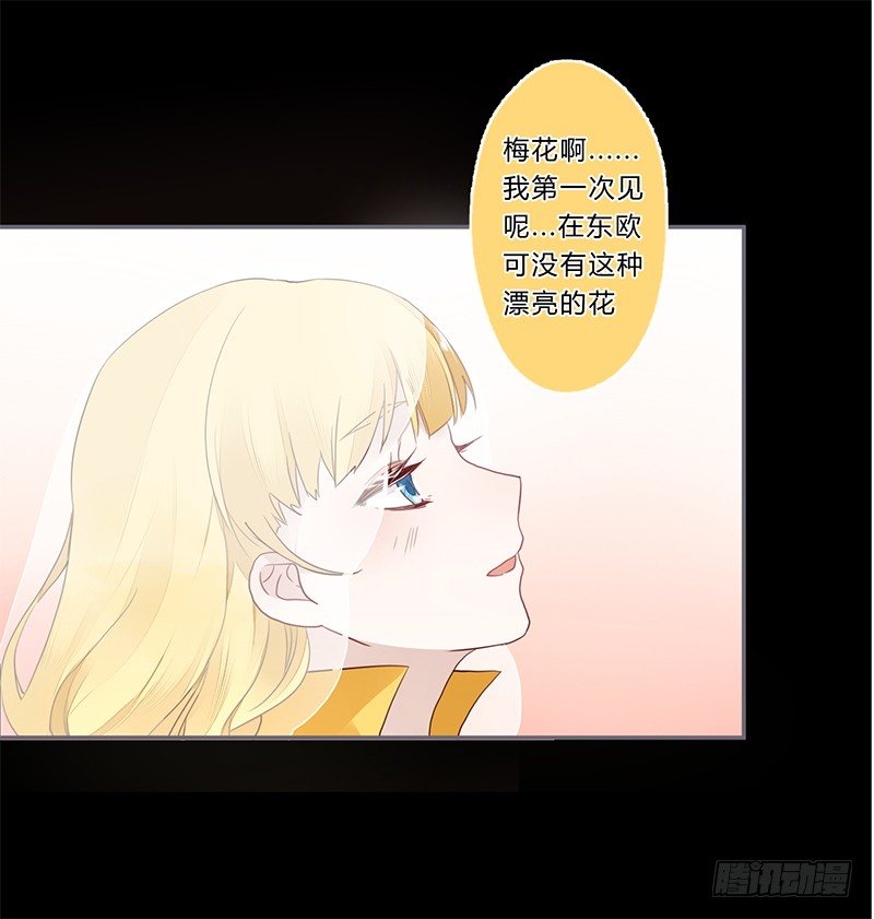 楼兰诅咒：暴君狠宠我韩漫全集-033 先穿衣服？无删减无遮挡章节图片 