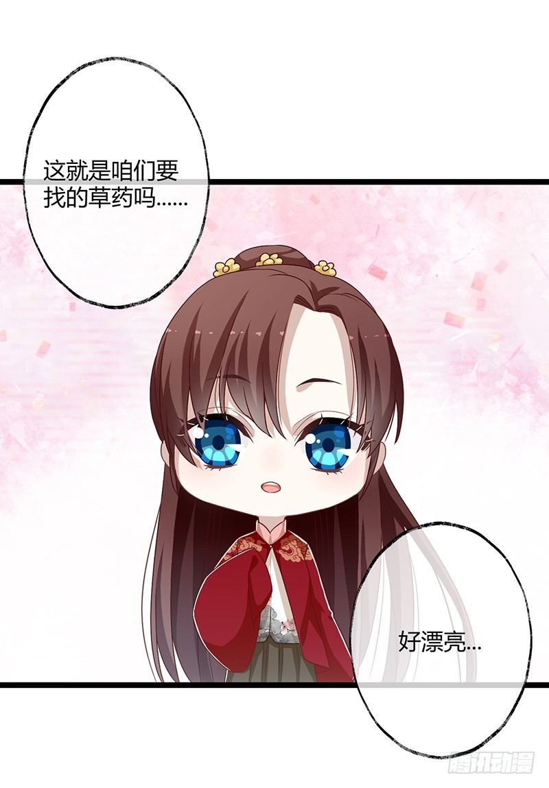 楼兰诅咒：暴君狠宠我韩漫全集-第二季058 采药无删减无遮挡章节图片 