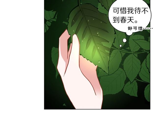 露西亚-攻略公爵计划韩漫全集-第16话 玫瑰宫无删减无遮挡章节图片 