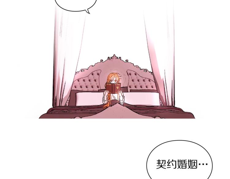 露西亚-攻略公爵计划韩漫全集-第3话 芒刺在背的目光无删减无遮挡章节图片 