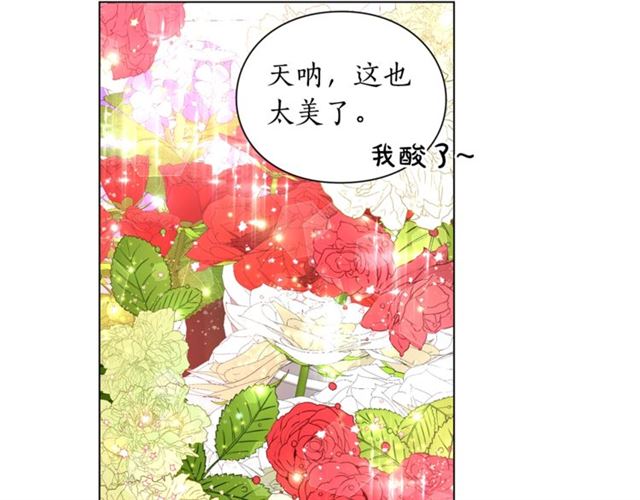露西亚-攻略公爵计划韩漫全集-第42话 贵妇茶话会无删减无遮挡章节图片 