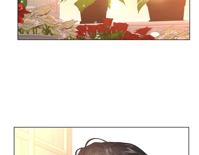 露西亚-攻略公爵计划韩漫全集-第44话 花的含义无删减无遮挡章节图片 