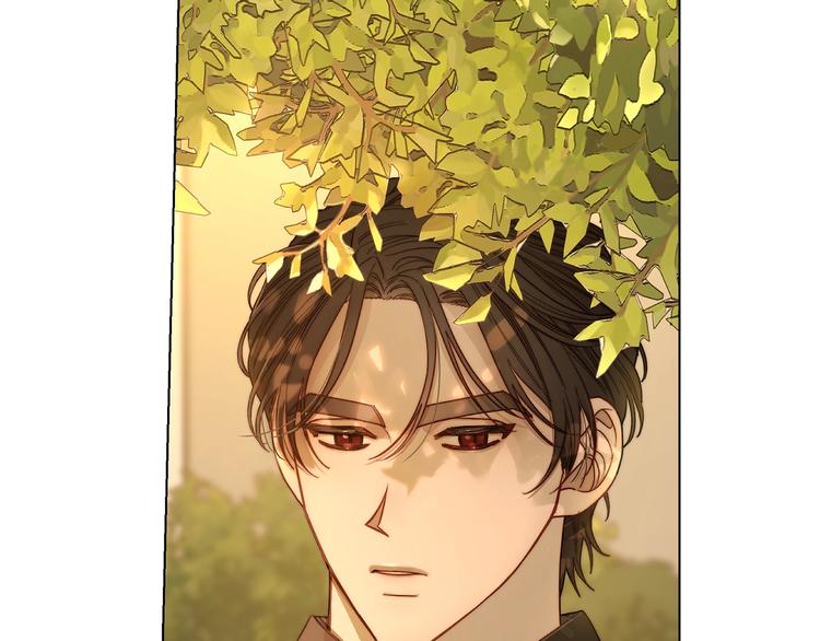 露西亚-攻略公爵计划韩漫全集-第65话 是我的错无删减无遮挡章节图片 
