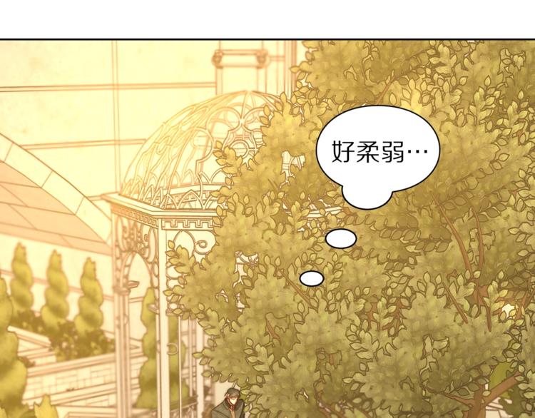 露西亚-攻略公爵计划韩漫全集-第67话 都是我的错无删减无遮挡章节图片 