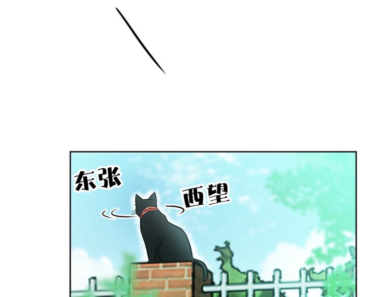 猫王子的新娘韩漫全集-第1+2话 你好小猫咪无删减无遮挡章节图片 