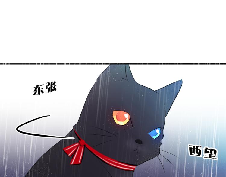 猫王子的新娘韩漫全集-第3话 穿越到猫王国！无删减无遮挡章节图片 