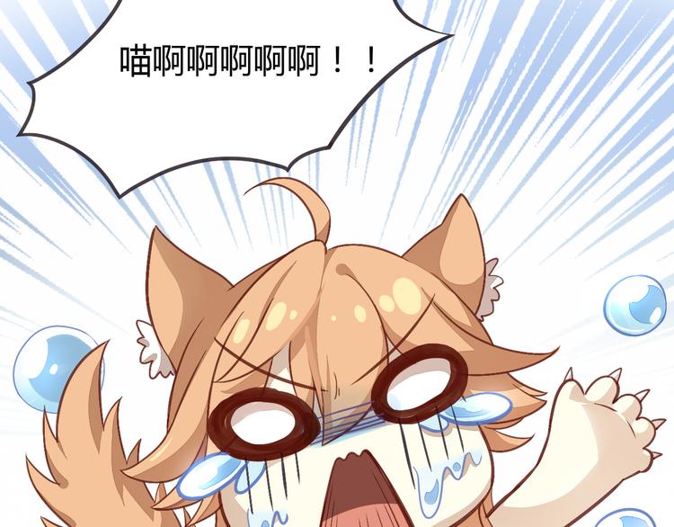 猫爪之下韩漫全集-第1话  猫主子驾到！无删减无遮挡章节图片 