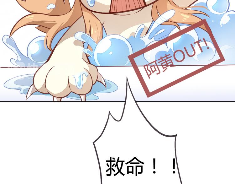 猫爪之下韩漫全集-第1话  猫主子驾到！无删减无遮挡章节图片 