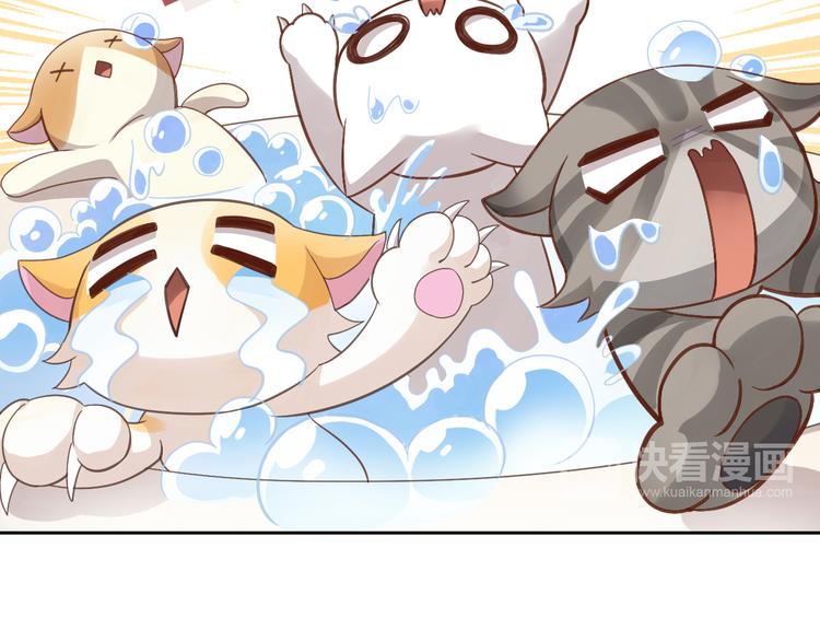 猫爪之下韩漫全集-第1话  猫主子驾到！无删减无遮挡章节图片 