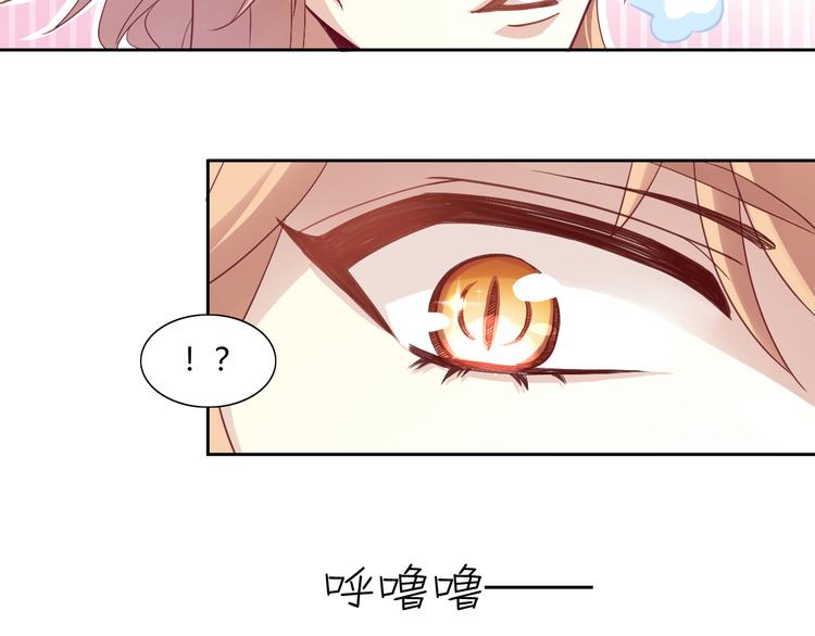 猫爪之下韩漫全集-第1话  猫主子驾到！无删减无遮挡章节图片 