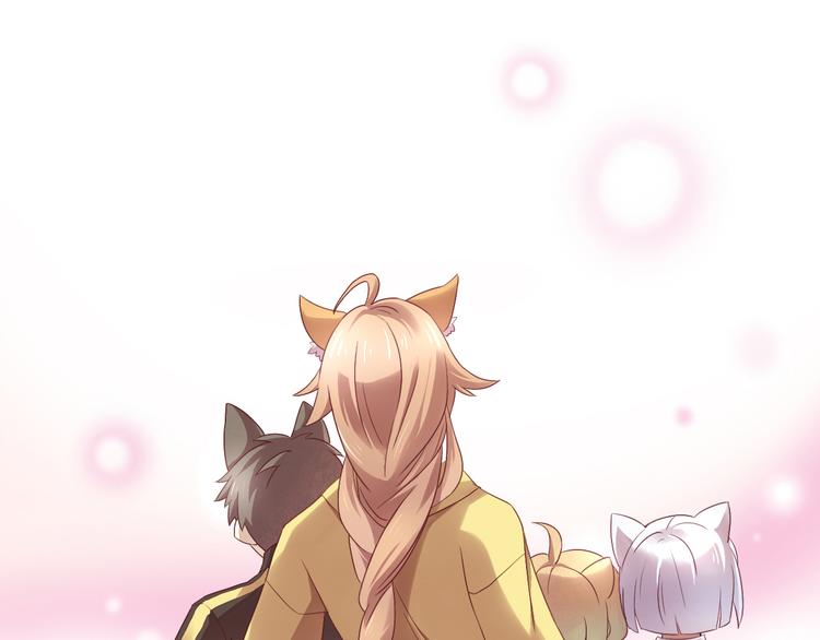 猫爪之下韩漫全集-第1话  猫主子驾到！无删减无遮挡章节图片 