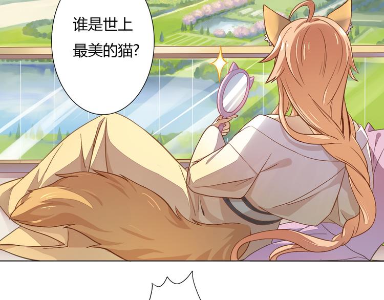 猫爪之下韩漫全集-第1话  猫主子驾到！无删减无遮挡章节图片 
