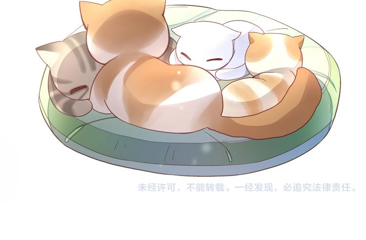 猫爪之下韩漫全集-第1话  猫主子驾到！无删减无遮挡章节图片 