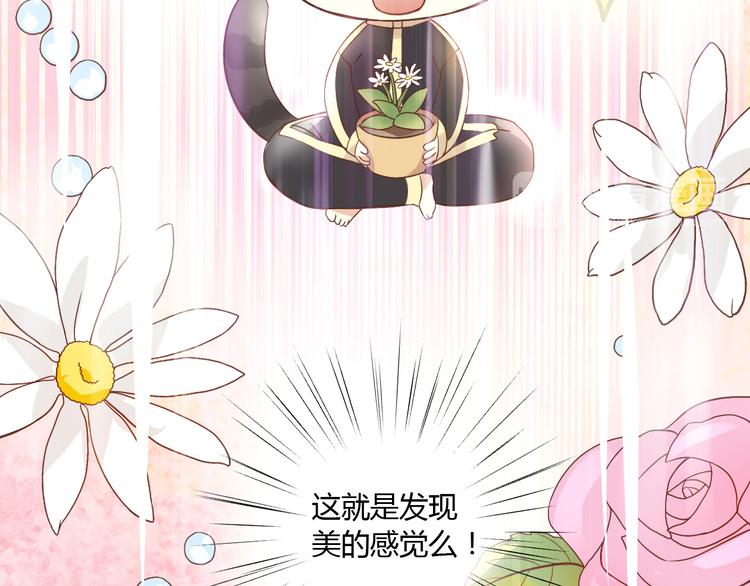 猫爪之下韩漫全集-第2话  守护者花花无删减无遮挡章节图片 