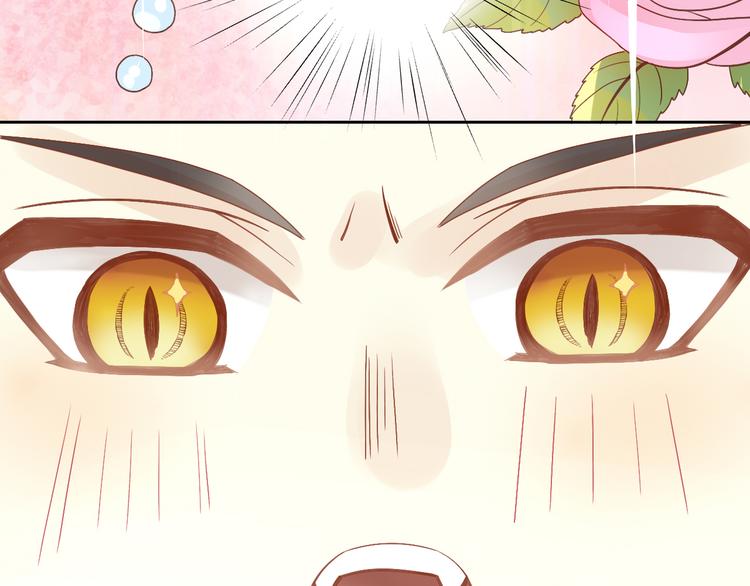 猫爪之下韩漫全集-第2话  守护者花花无删减无遮挡章节图片 