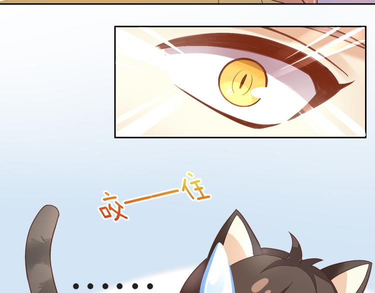 猫爪之下韩漫全集-第2话  守护者花花无删减无遮挡章节图片 