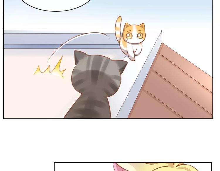 猫爪之下韩漫全集-第11话  少年的心思猜不透无删减无遮挡章节图片 