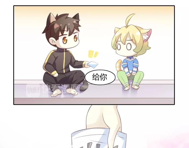 猫爪之下韩漫全集-第11话  少年的心思猜不透无删减无遮挡章节图片 
