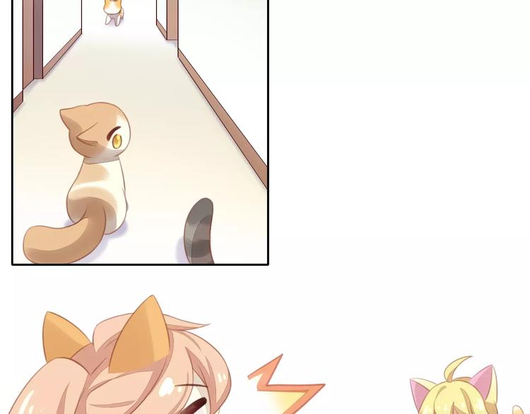猫爪之下韩漫全集-第11话  少年的心思猜不透无删减无遮挡章节图片 