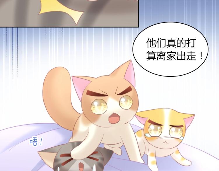 猫爪之下韩漫全集-第100话 离开无删减无遮挡章节图片 