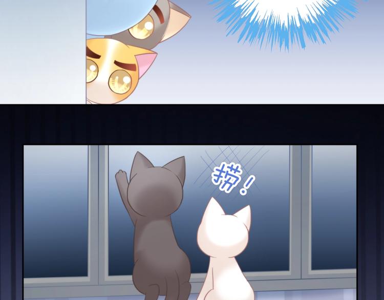 猫爪之下韩漫全集-第100话 离开无删减无遮挡章节图片 
