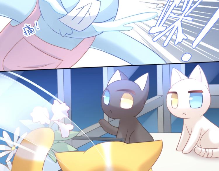 猫爪之下韩漫全集-第100话 离开无删减无遮挡章节图片 