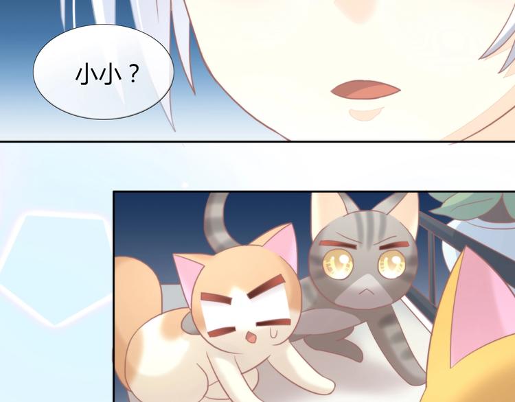 猫爪之下韩漫全集-第100话 离开无删减无遮挡章节图片 