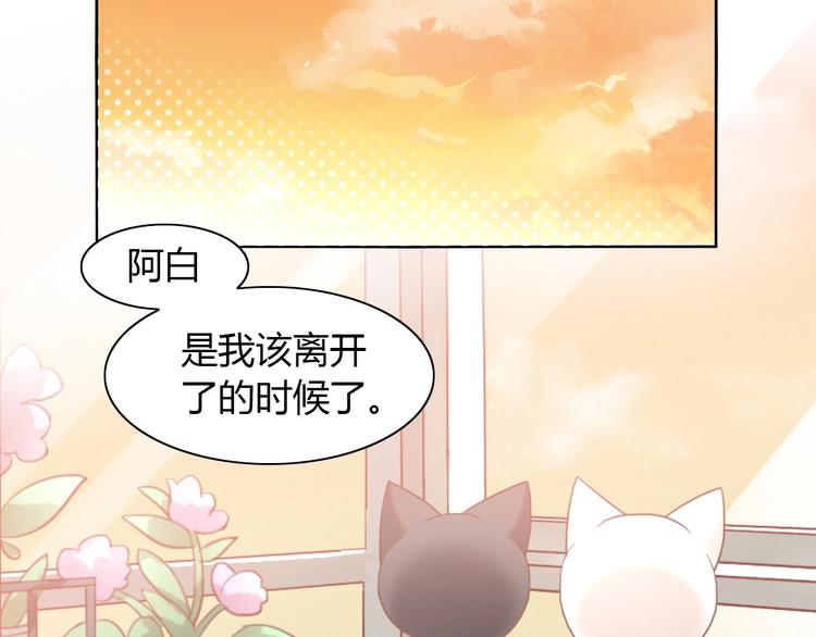 猫爪之下韩漫全集-第100话 离开无删减无遮挡章节图片 