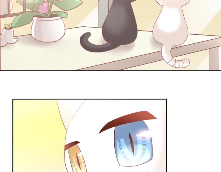 猫爪之下韩漫全集-第100话 离开无删减无遮挡章节图片 